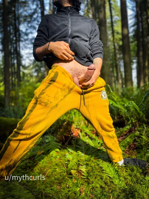 Should we play a game while we hike? by Mythcurls