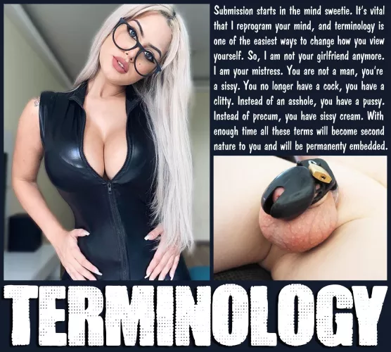 TERMINOLOGY [chastity] [femdom] [sissy] by Teas_Denial