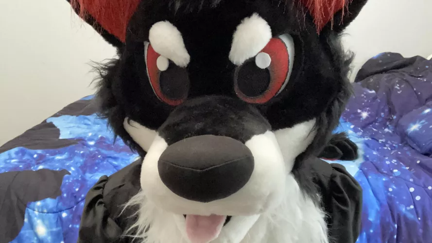 You got any games on your phone? by Zachcraftone