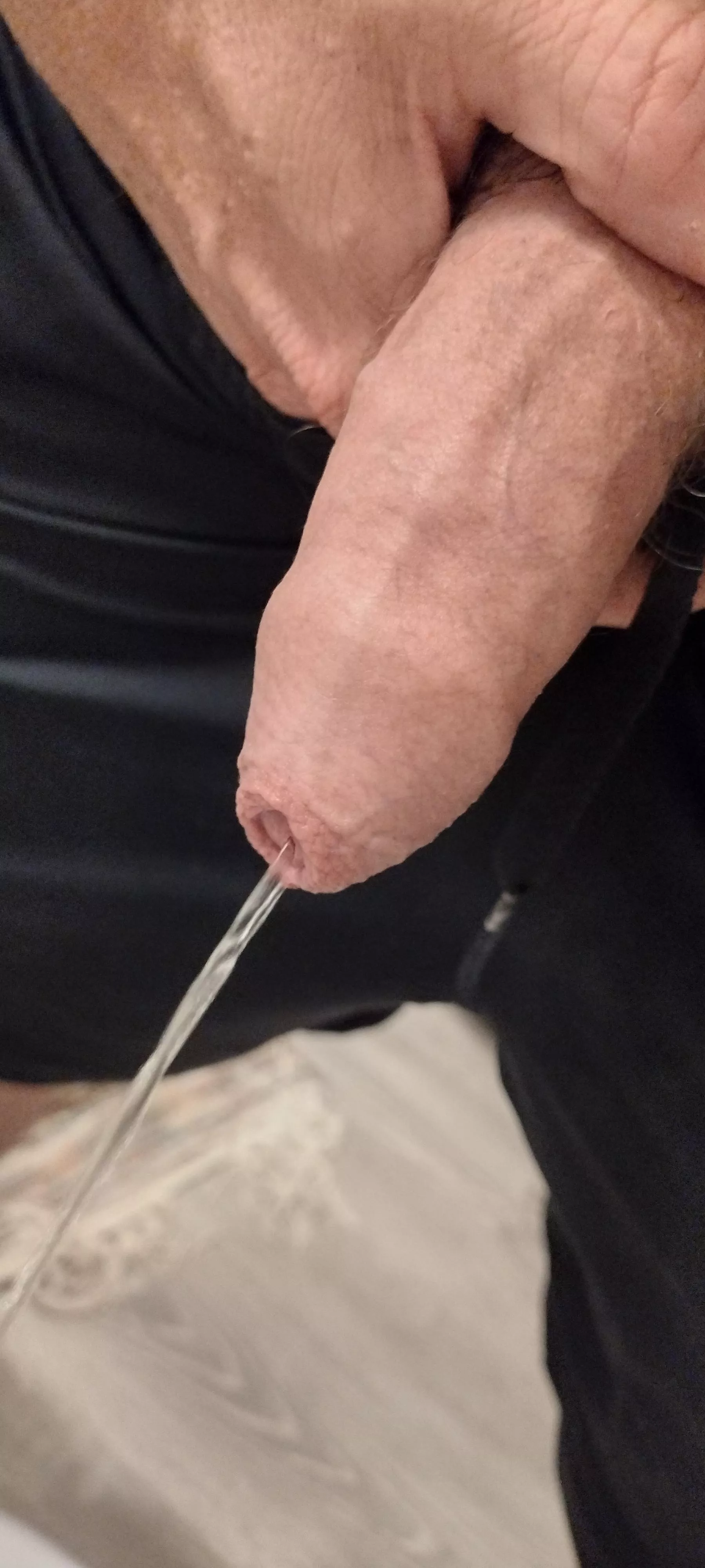 (49) Pissing with my horny cock. posted by Uncutdelightt