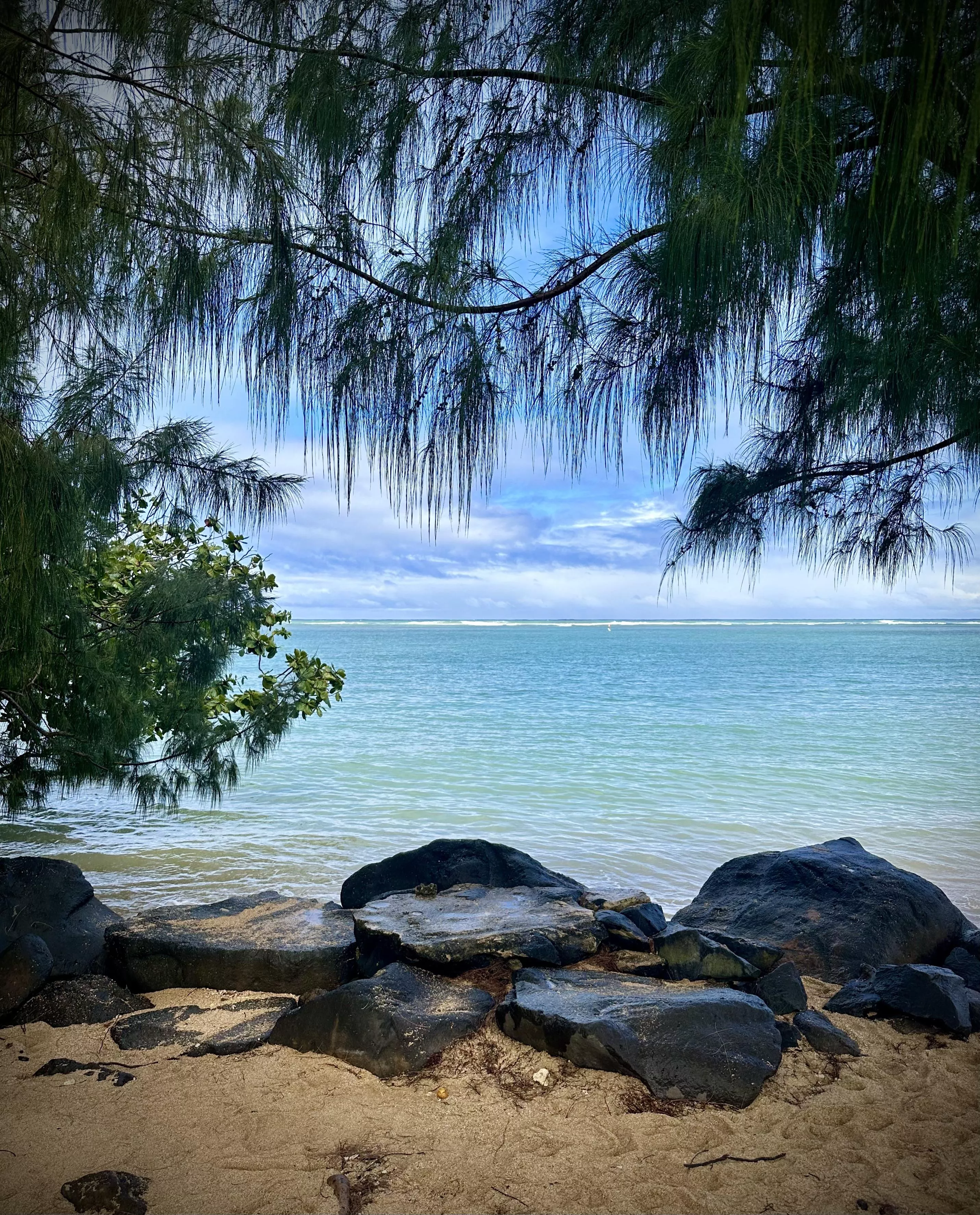 A moment of calm posted by Electronic_Common931