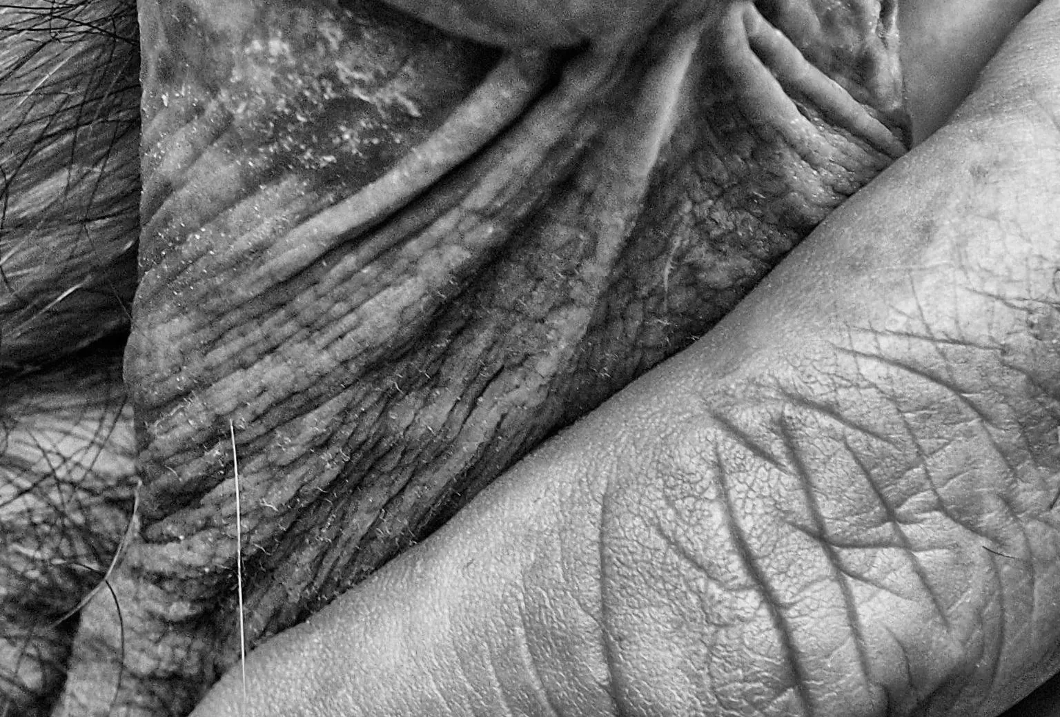 at the finger posted by TheNudeMike