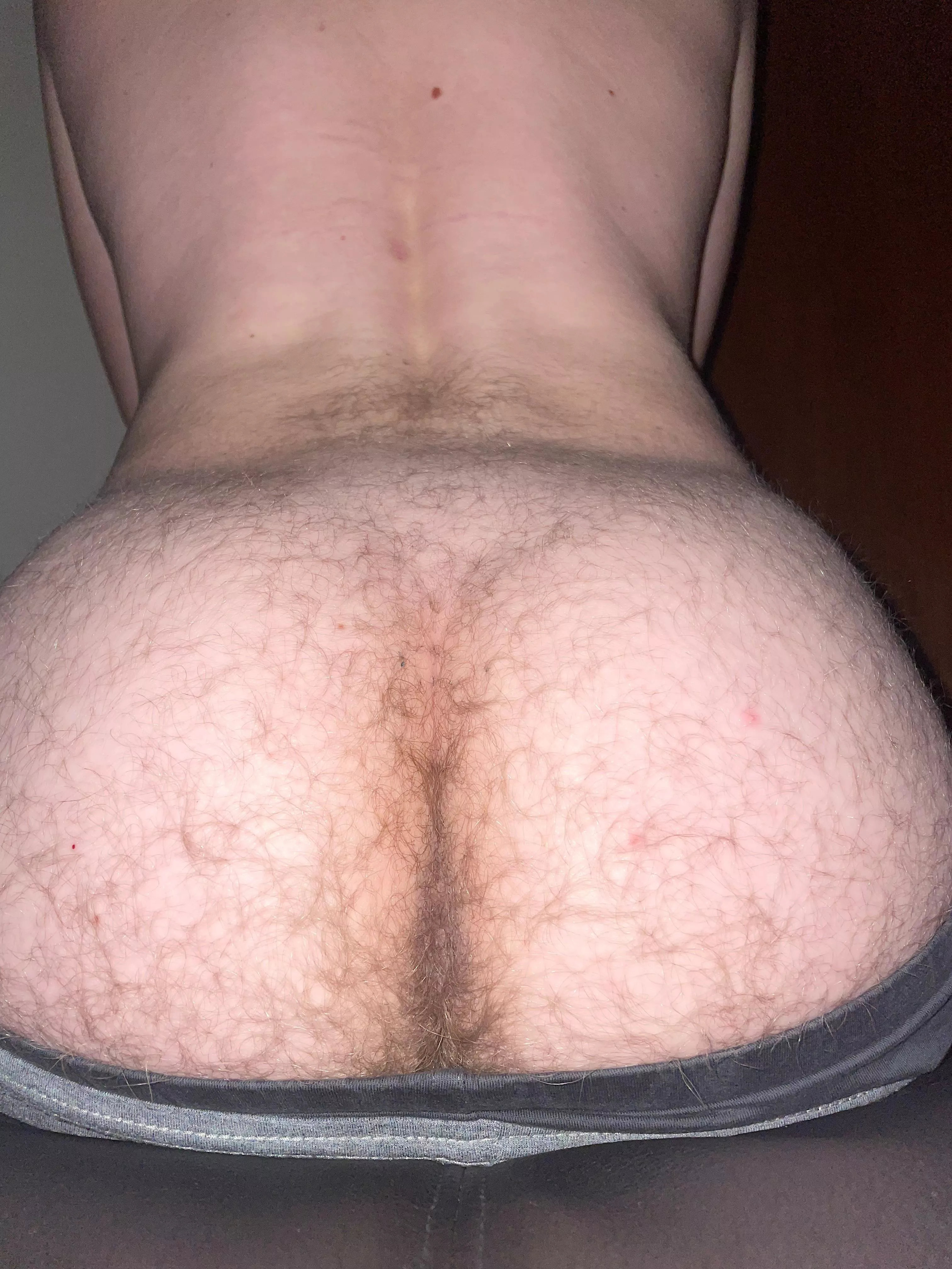 Hairy teen ass posted by Electrical-Study1918