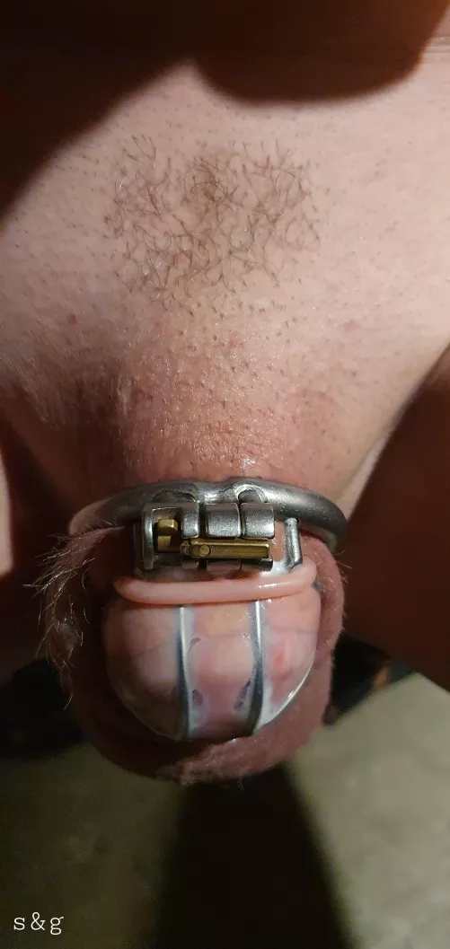 Hubby's pathetic caged pp coated in preparation h and emla cream put in a condom to marinate. And considering making him completely pussy free by shitsandgigssss