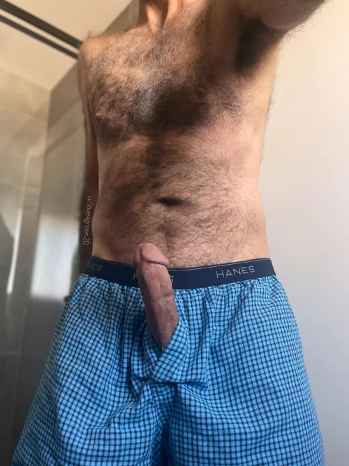 I had to put the tent down by love4green20