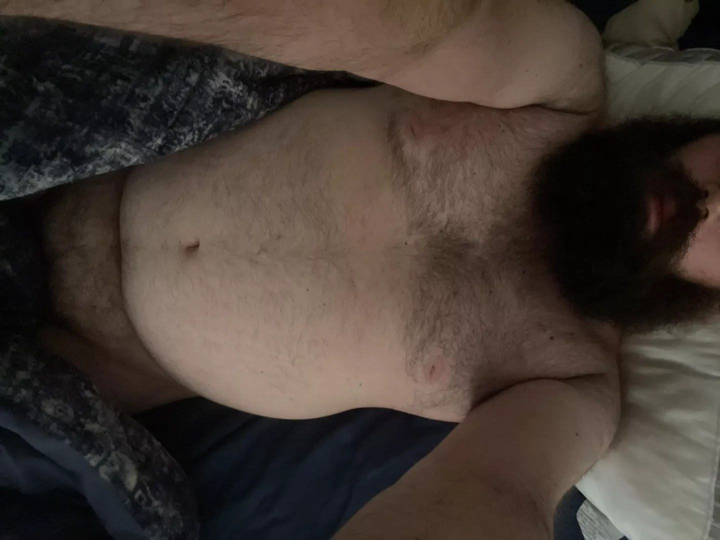 Let’s snuggle while you rub my beard. posted by DMThoseCocks