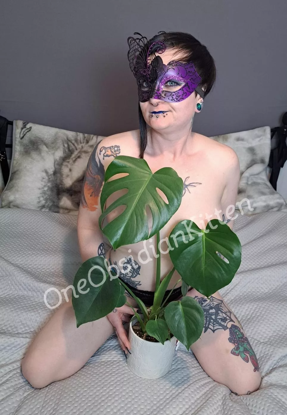 Lucky my plant saved me hehe posted by OneObsidianKitten