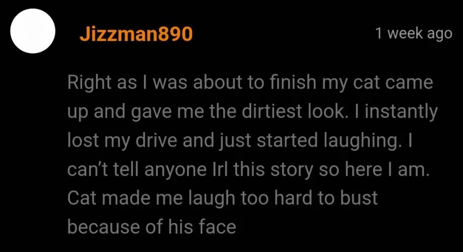 Poor guy by thehamlins