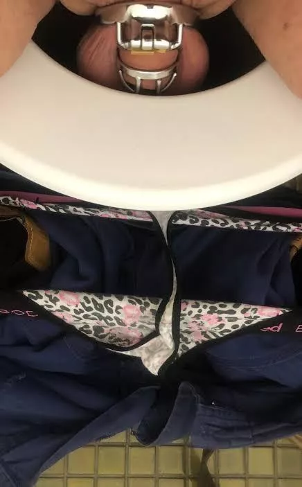 Should all men sit to pee? posted by barking_cattt