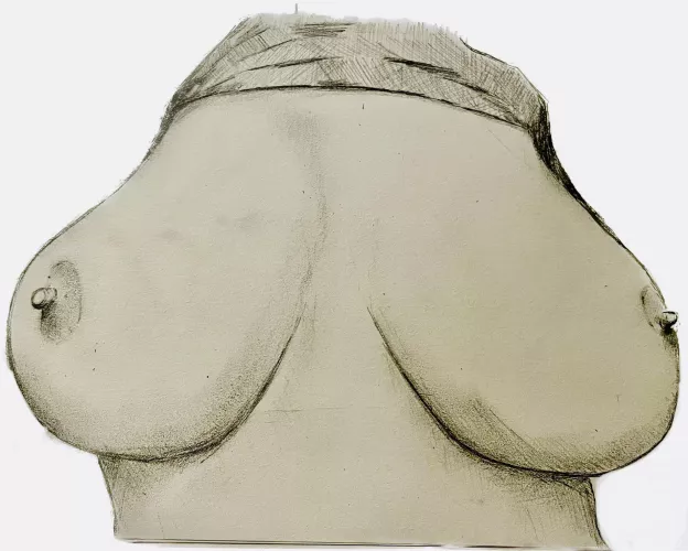 What a mouthful. Request drawn for u/NinjaSausageLord. by Ch1nchillaRage_