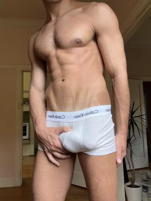 Your pulling these down and doing what?? by Competitive_Moose174