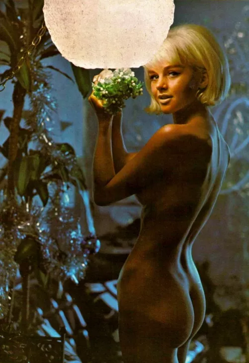 Britt Fredriksen, Playboy Playmate for June 1968 - Album IC by Plus_River_8733