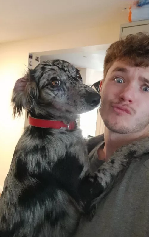 Demanding cuddles as usual by BrbMakingACuppaT