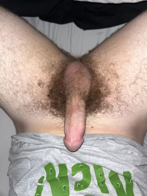 DM me if you like my HS bush by brassbad
