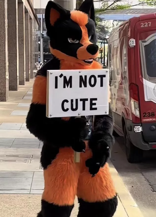 Furry☝️irl posted by Intelligent-Iron-212