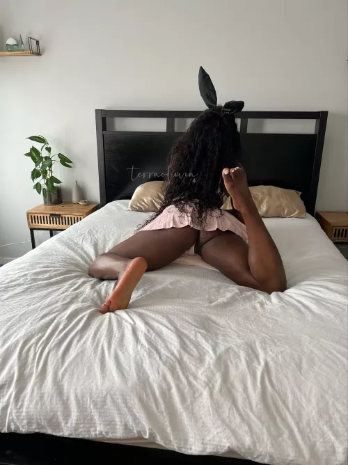 Halloween is on route and this bunny has lots to say… by terraolivia