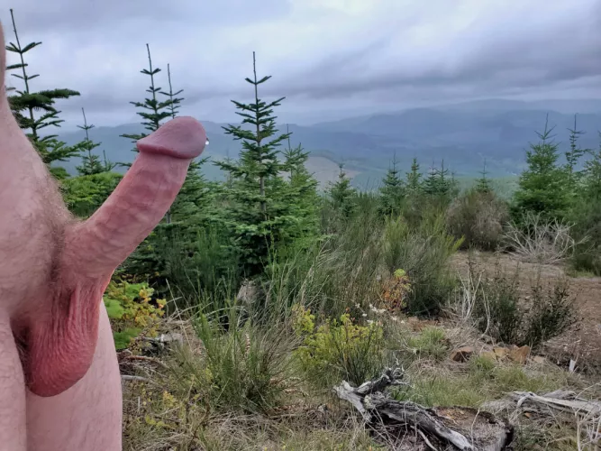 I'm not about to let this dreary Monday weather keep me from getting my dick out by NetflixQ4