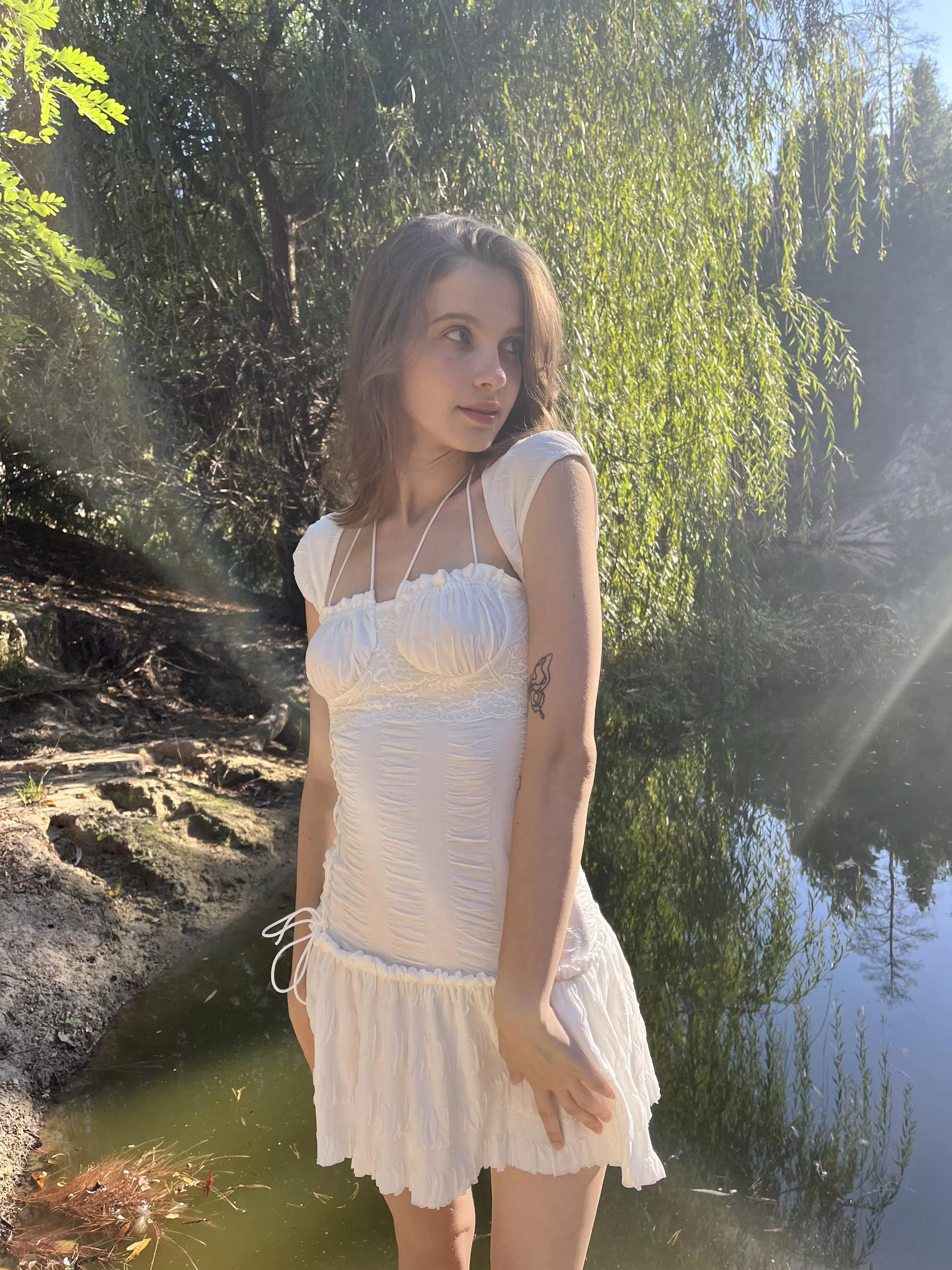 IUTR posted by Flaxseedinternet