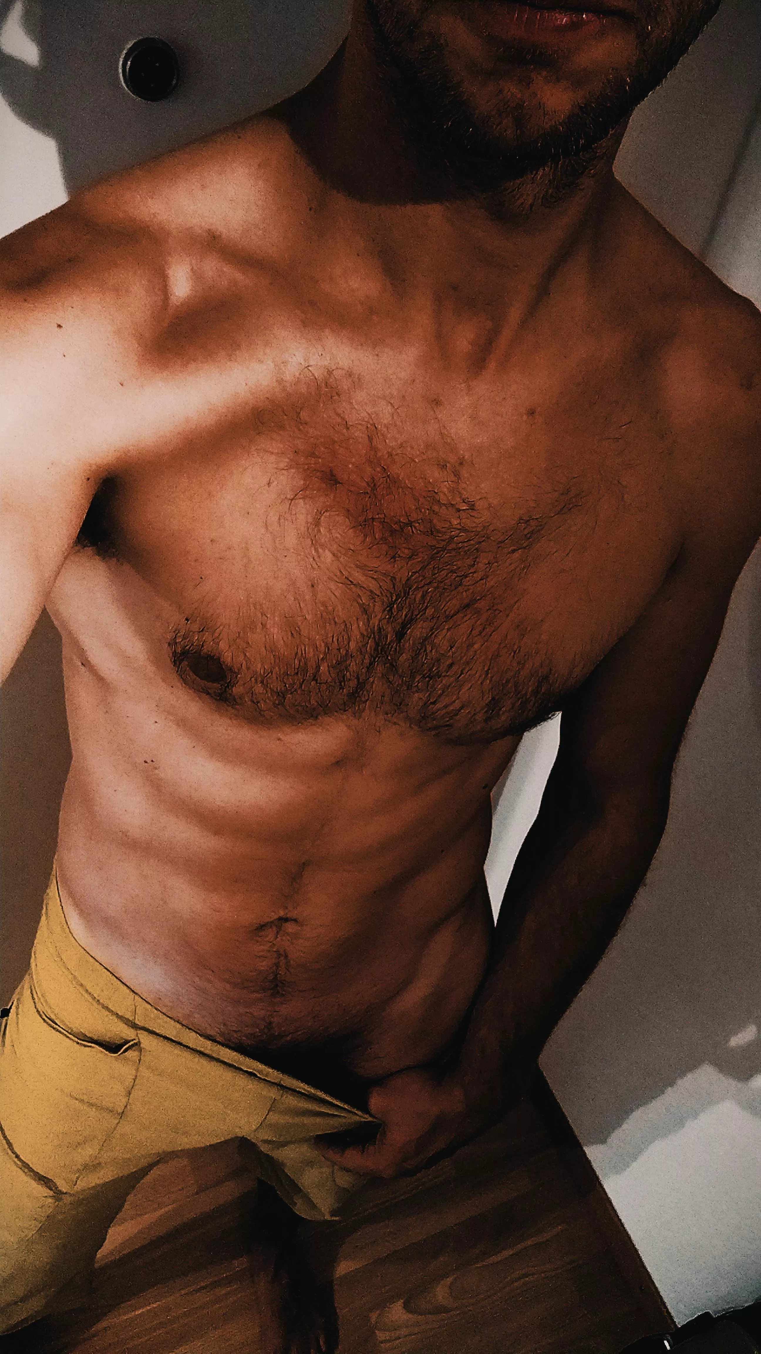 Just a bit proud of my chest. posted by Detgeromu