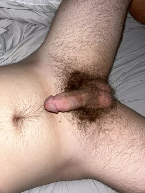 Someone help me get hard (DMs open) by brassbad