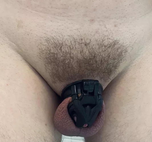 This is my first post, what do you think? by tortugada