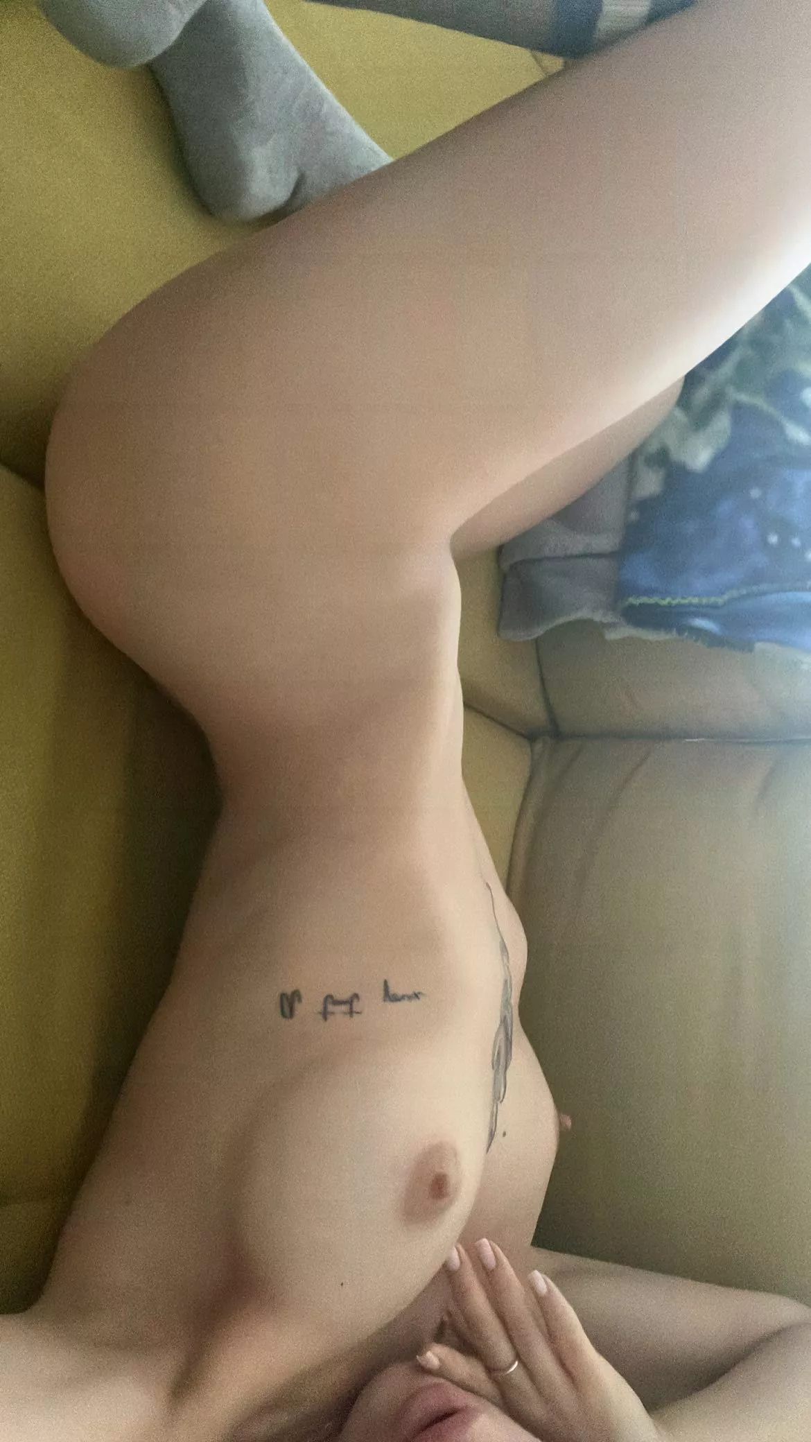 What do you think about what's under my shirt? posted by Carmoninivb