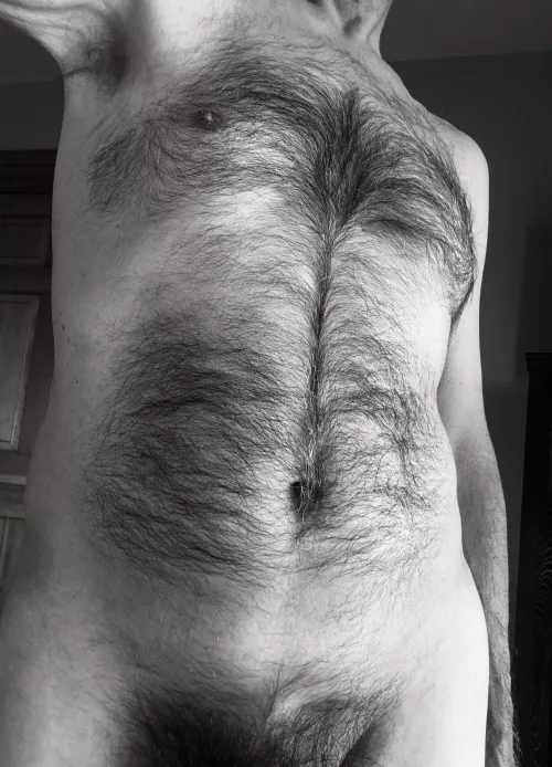 A little bit of fur for your hump day? by Thistlemaker2