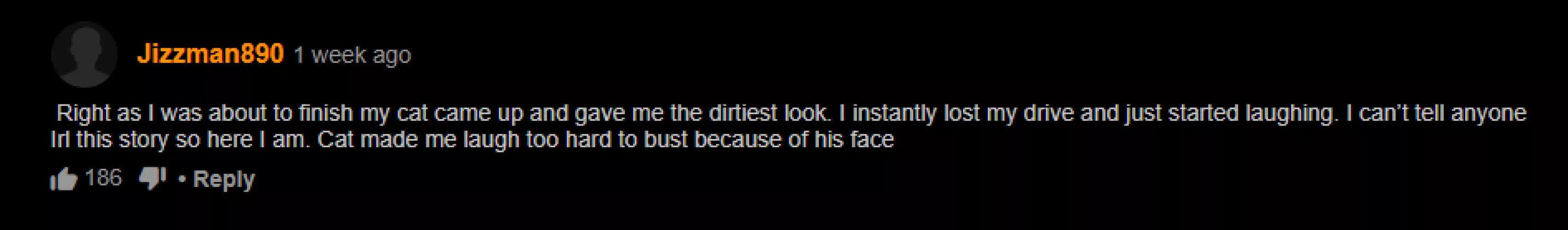 Damn Cats by Walnuttttttt