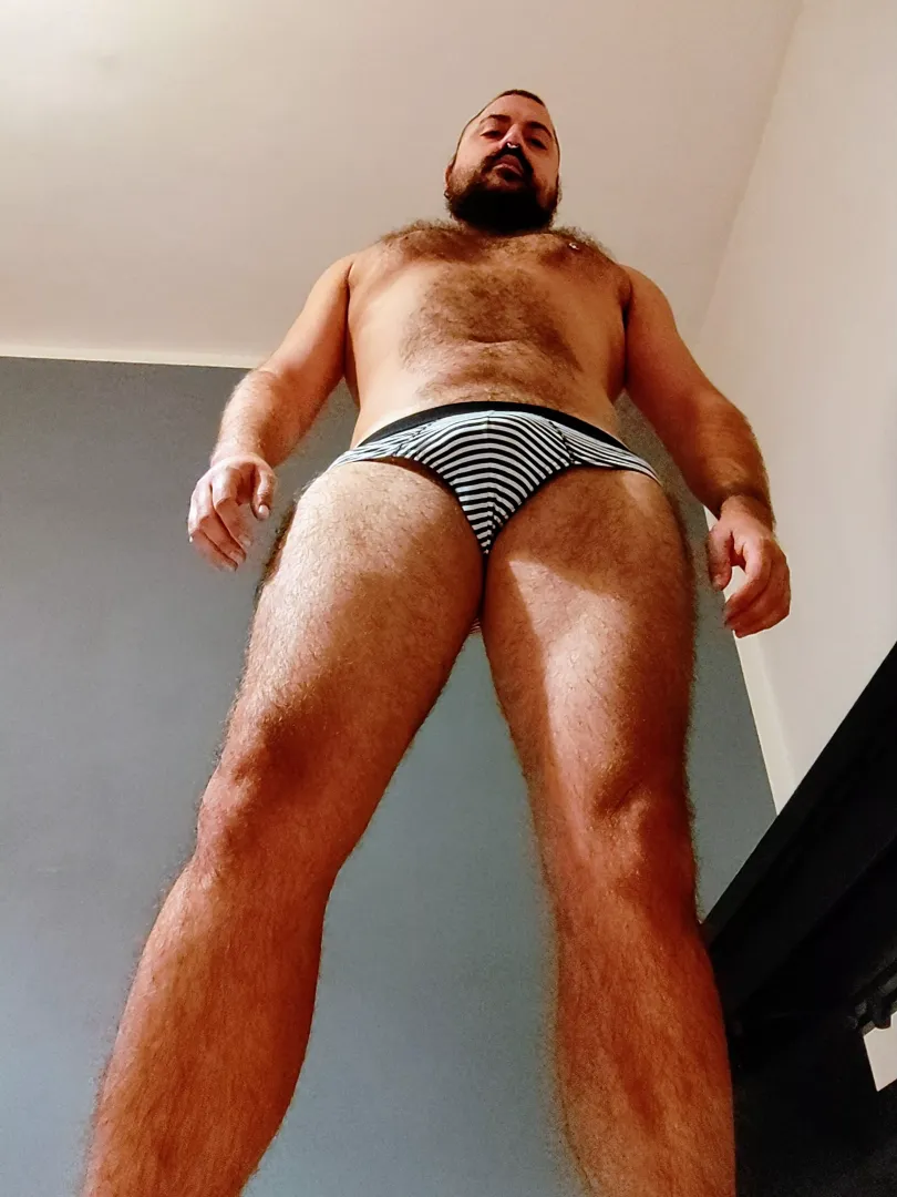 Do stripes make my bulge look fatter? by bearlyfreak