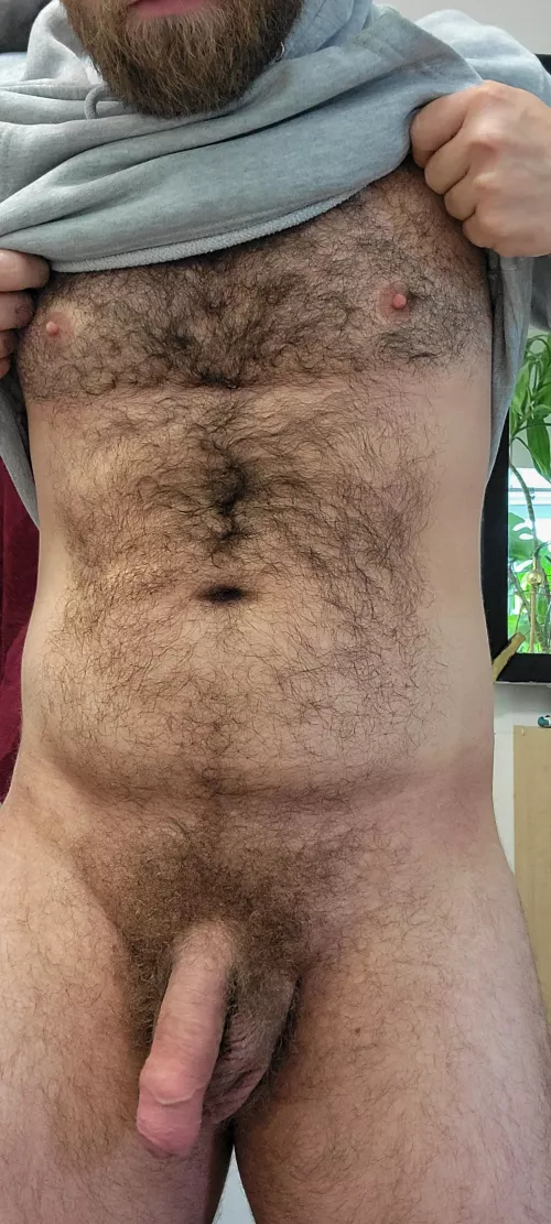 Enough hair for everyone by hairyMtl