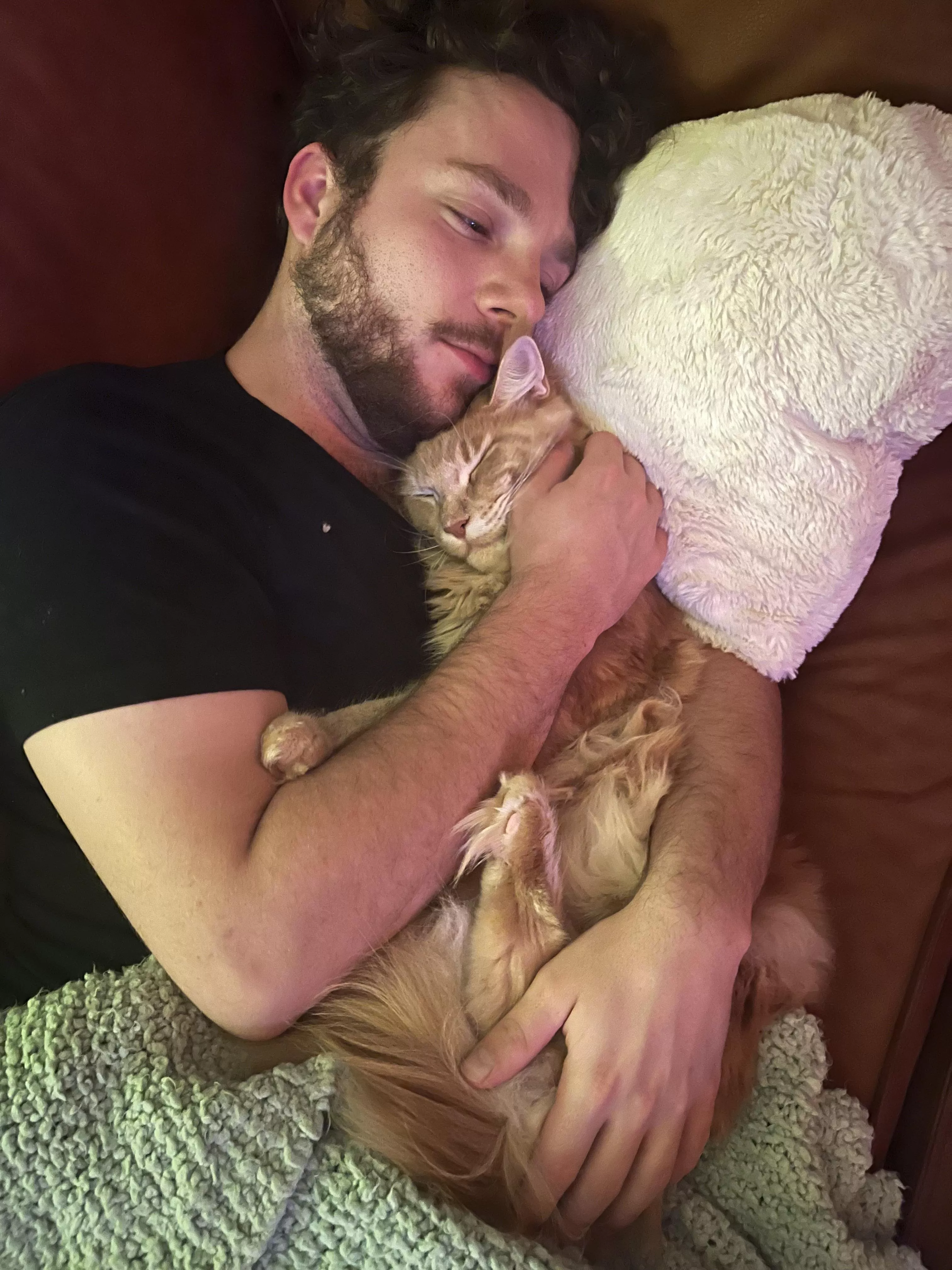Love sleeping with my cat 😍 are you a cat or a dog person? posted by Mildfriend