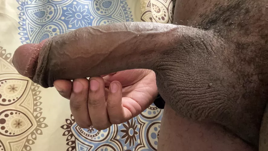 Make sure you get your protein.. by FriendlyAnaconda