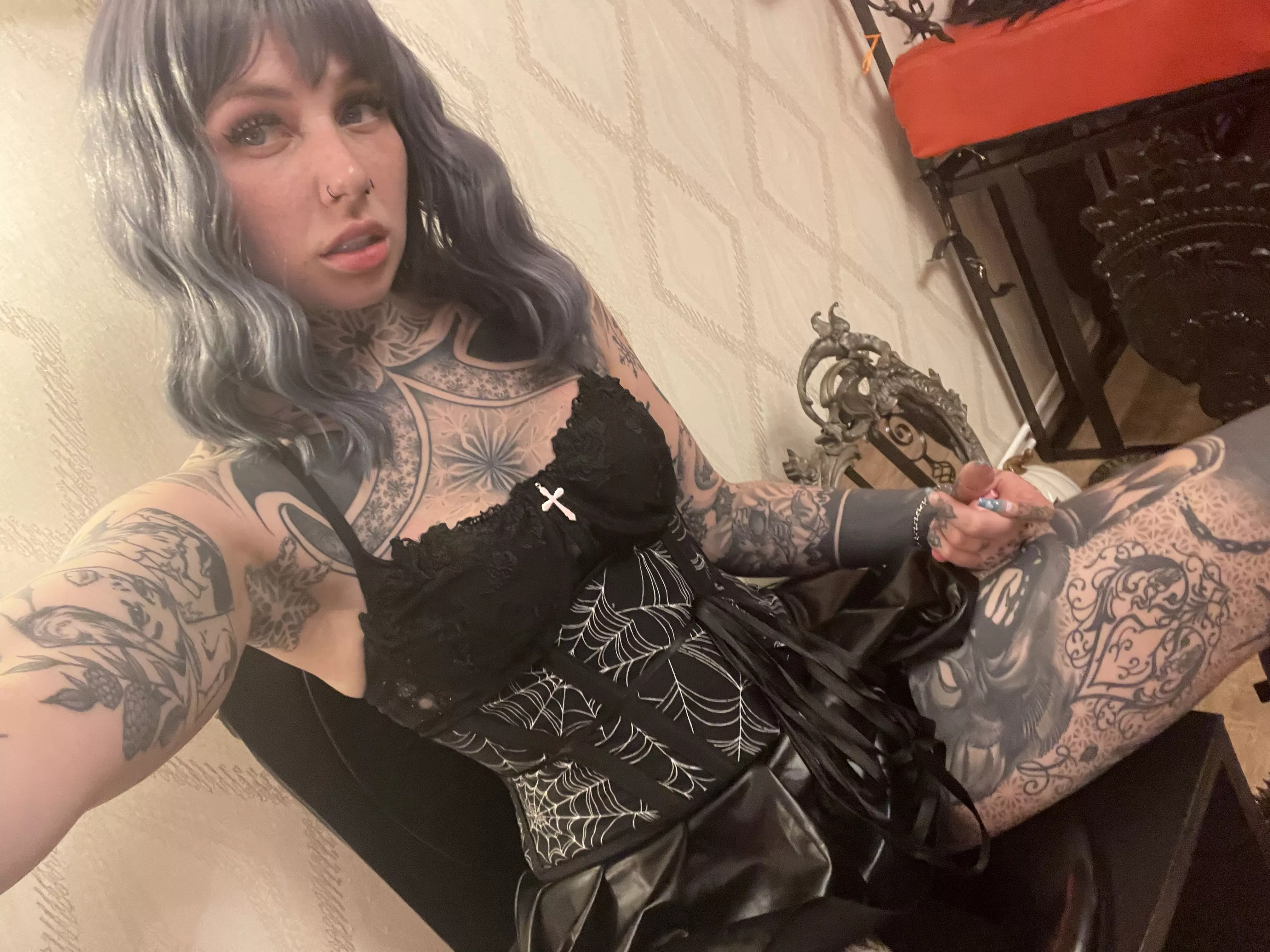 Your new distraction 🖤 posted by SGracelyn