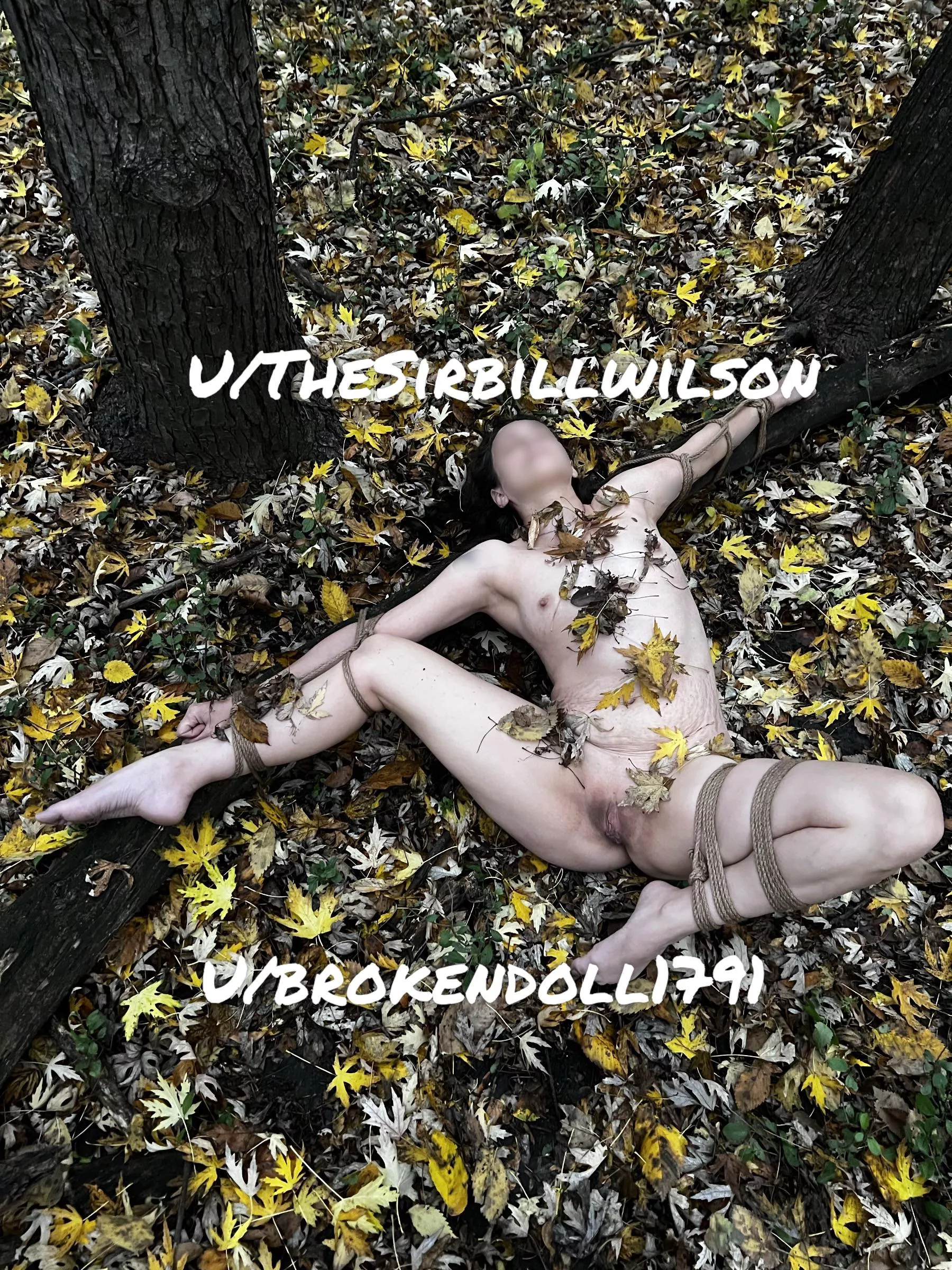 A Surprise Find While Hiking posted by TheSirBillWilson