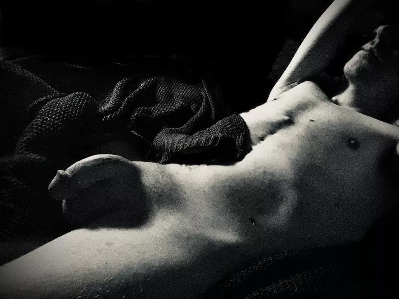 B A S H F U L posted by Basic_Policy