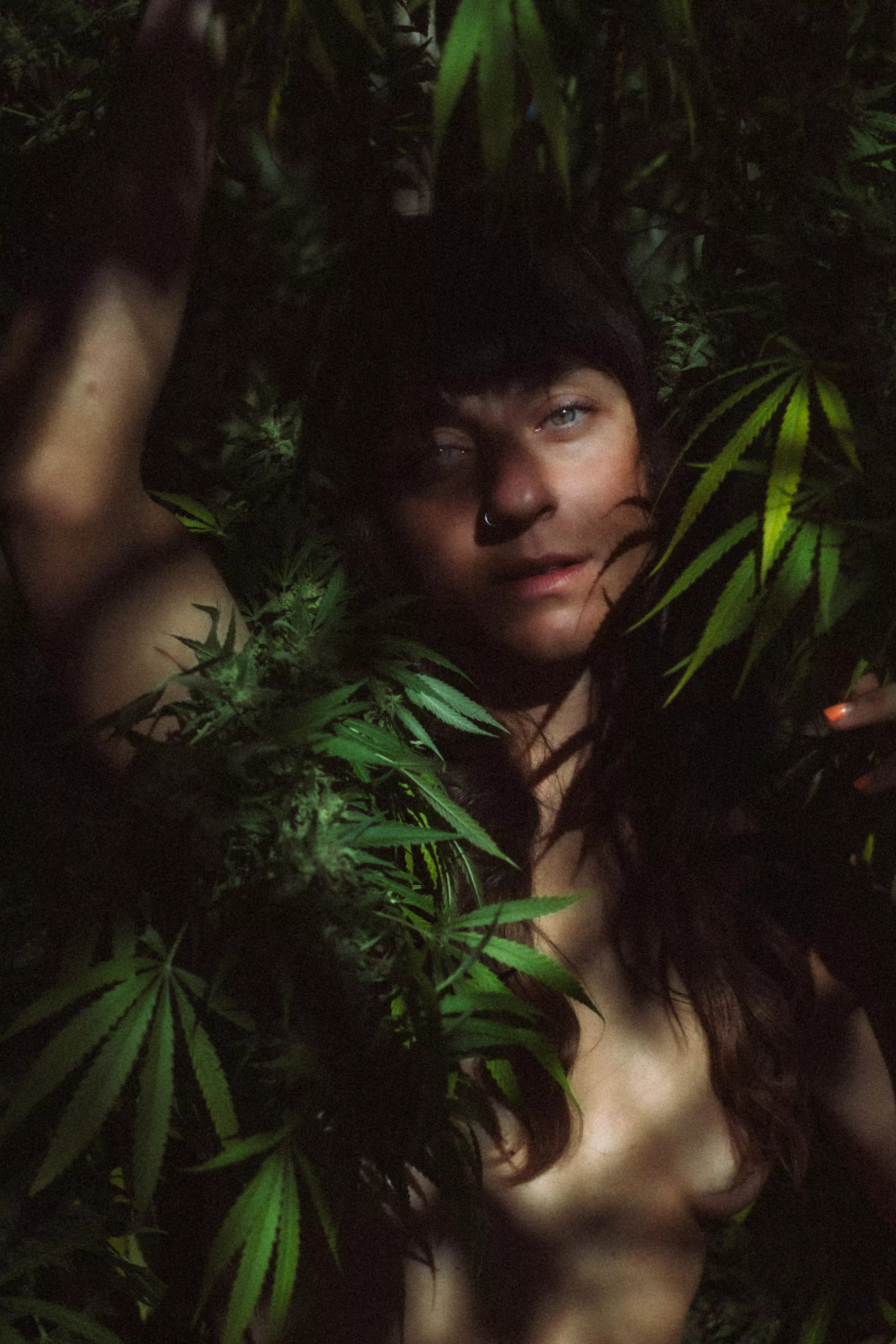 Cannacolored Daydream ✨ posted by Curiousmusclegirl