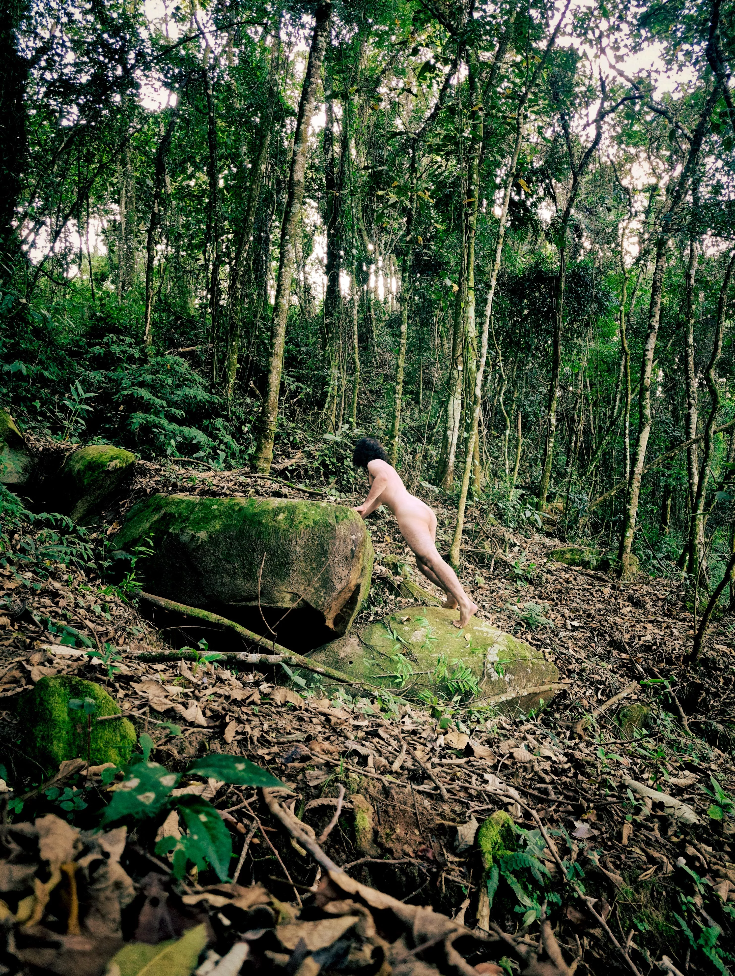 Forest creature posted by all-against