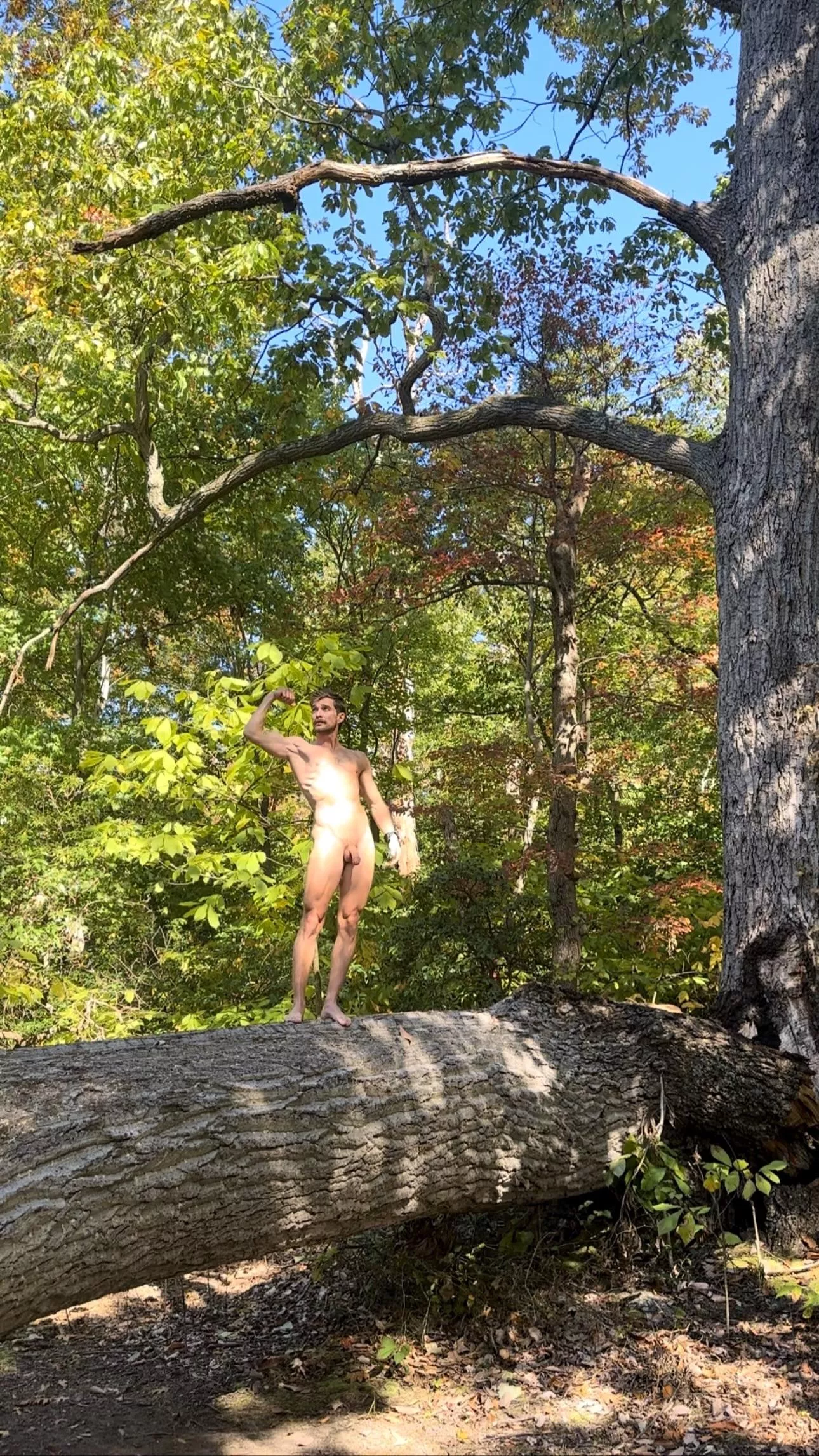 Girthy hardwood posted by freeintheforest86