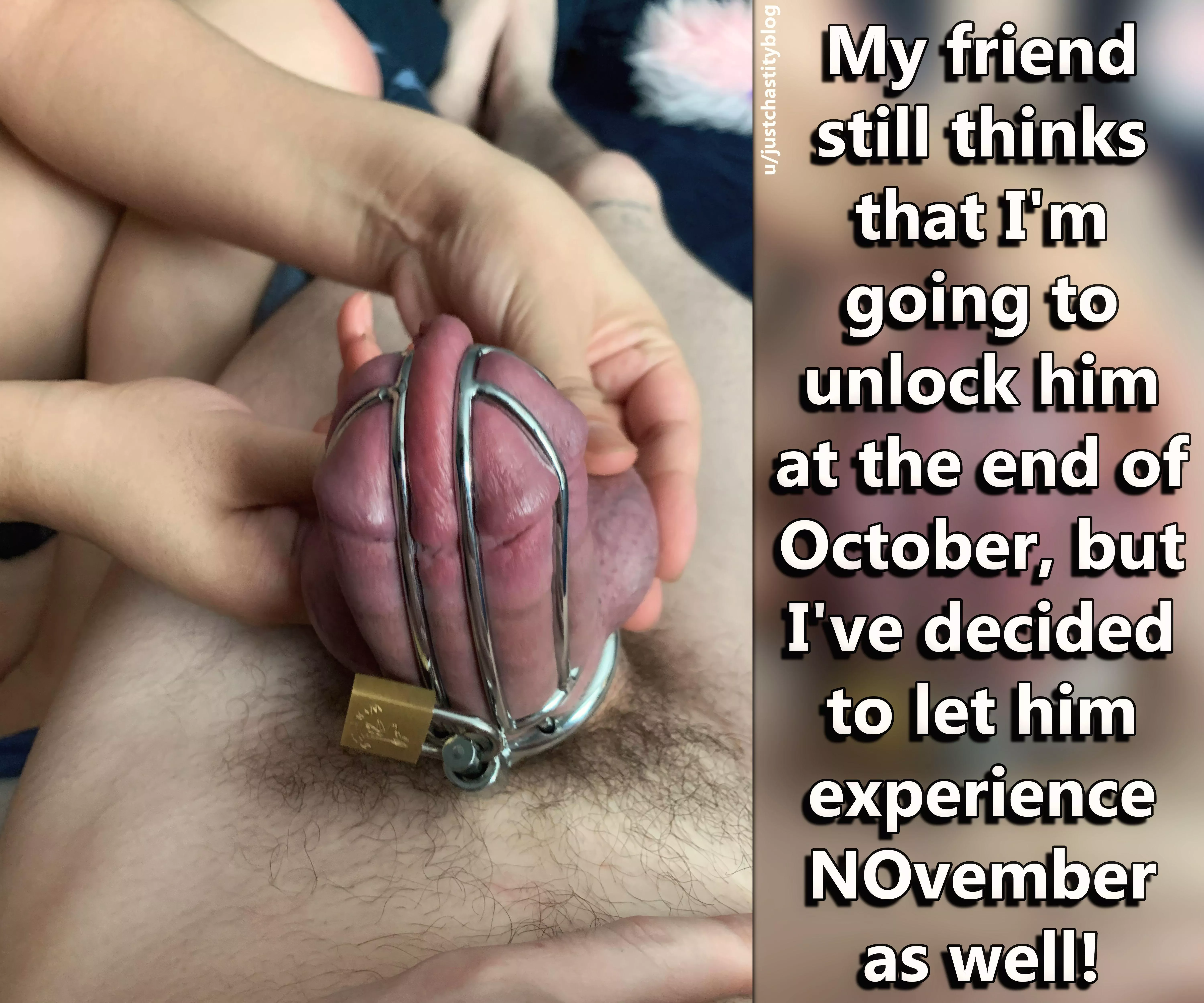 Her mind's already made up! posted by justchastityblog