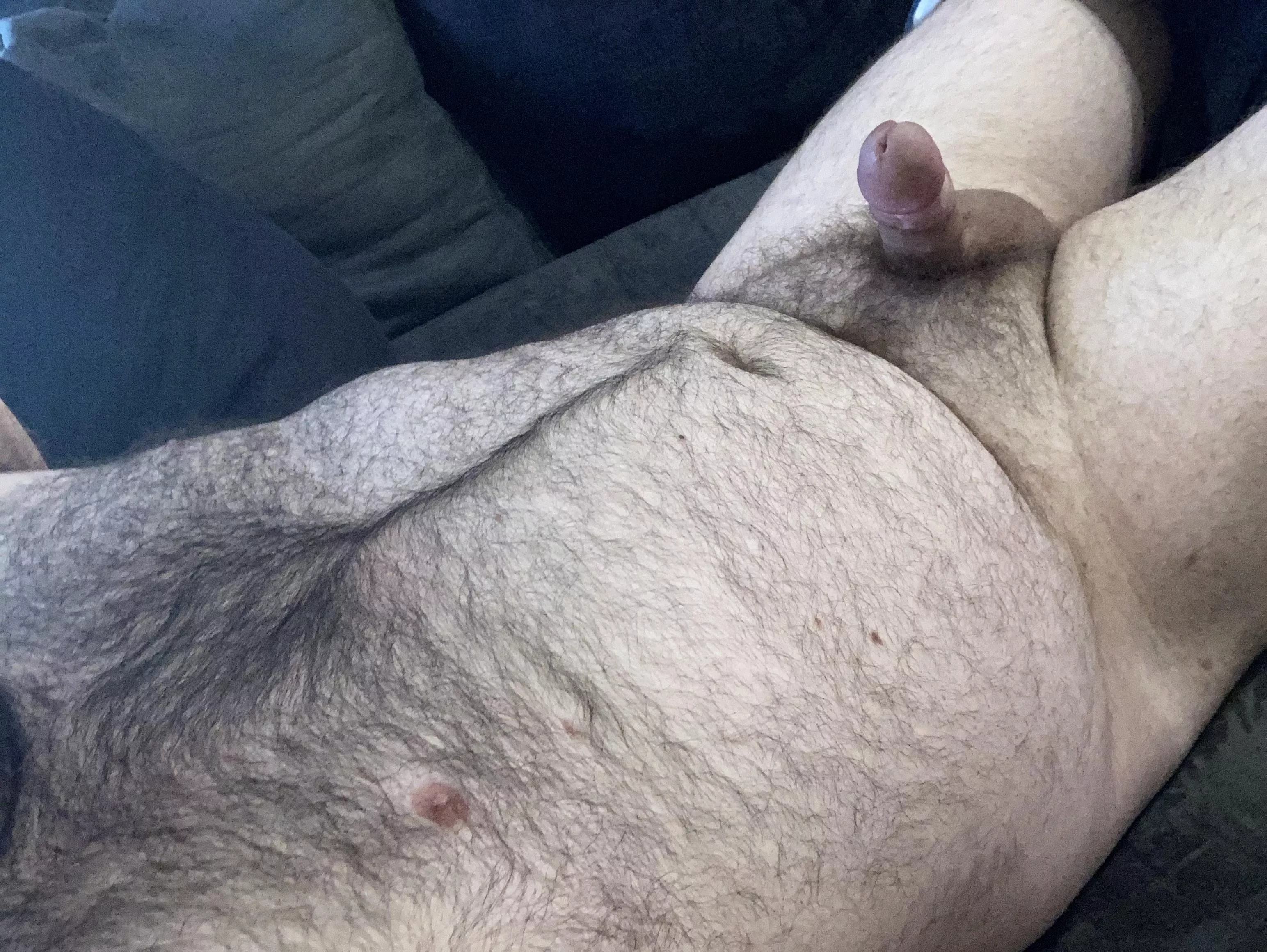 I think I fit in here posted by avgwhiteguy757