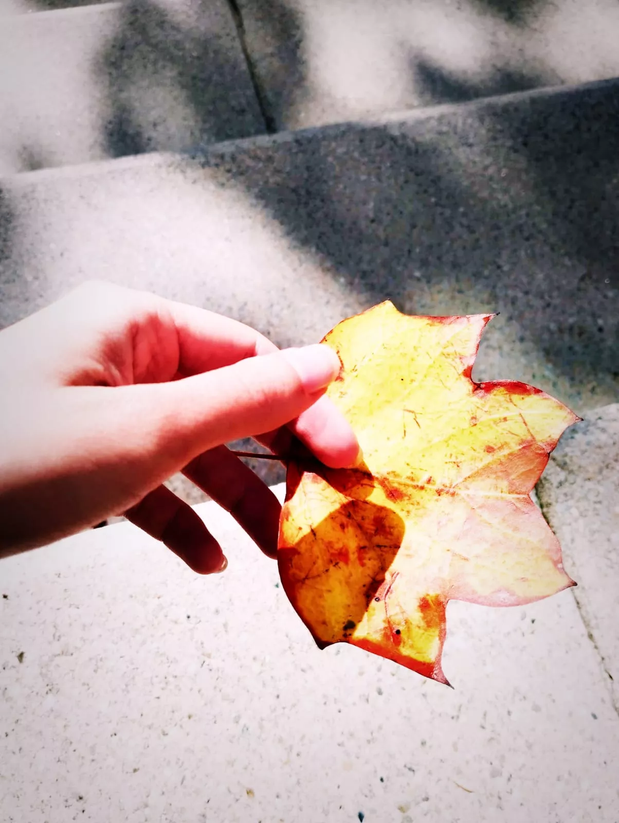 Life is a cycle posted by Orag16