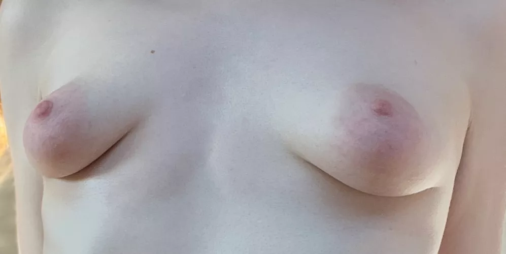 My little boobs with areolas would be an unforgettable treat for Halloween 😏 by Chaoticspill32