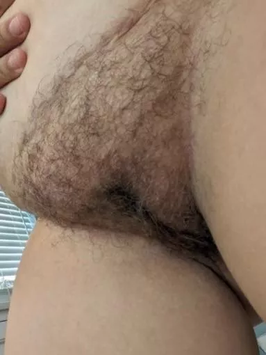 Pretty fuzzy atm posted by kat-pj