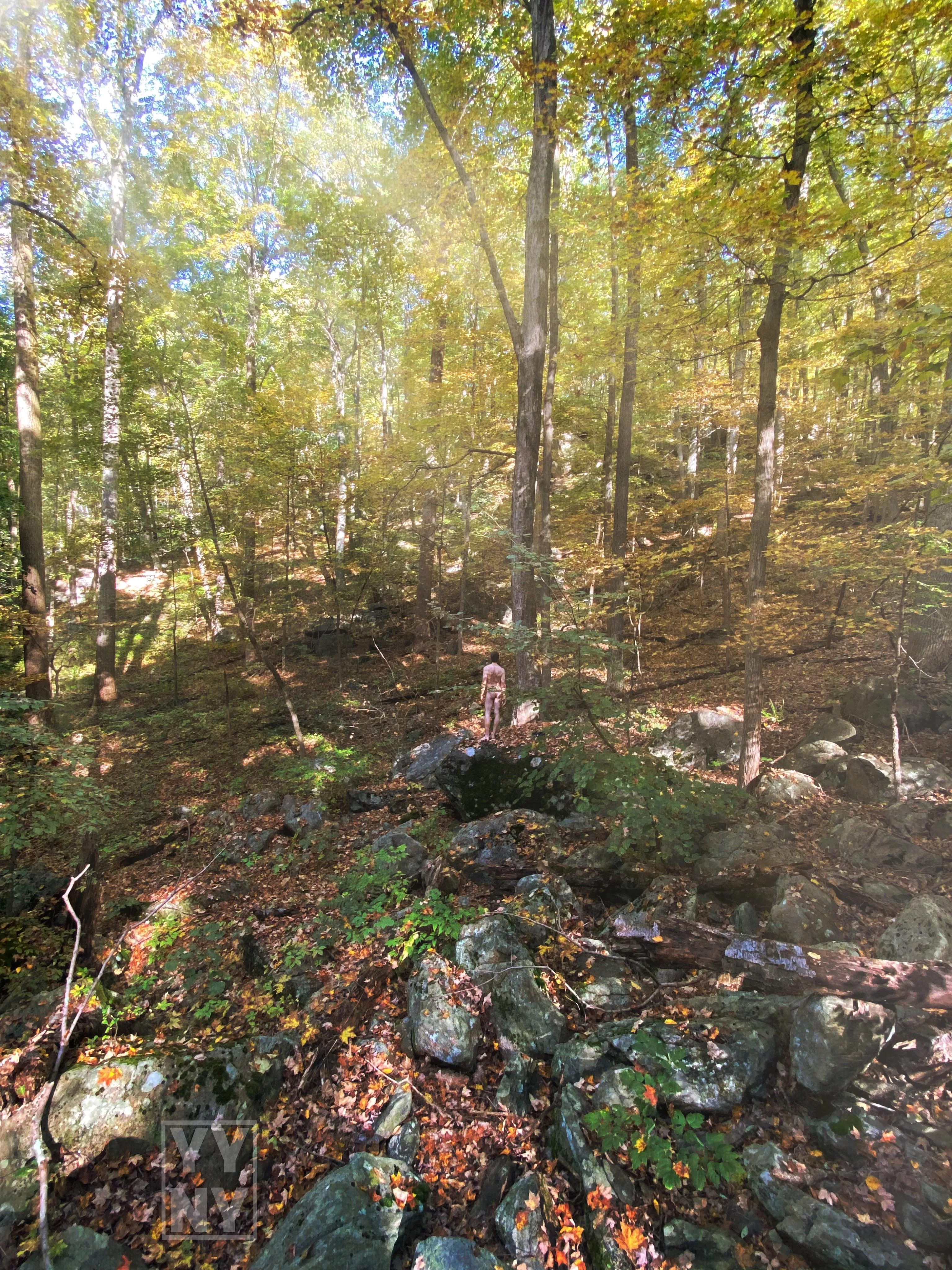 Solitude and SoliNUDE … where we find being alone ONEderful 🌲 posted by YangYangNY