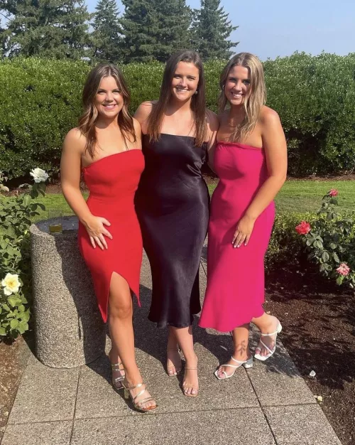 Wedding Guests by OverallSheepherder49