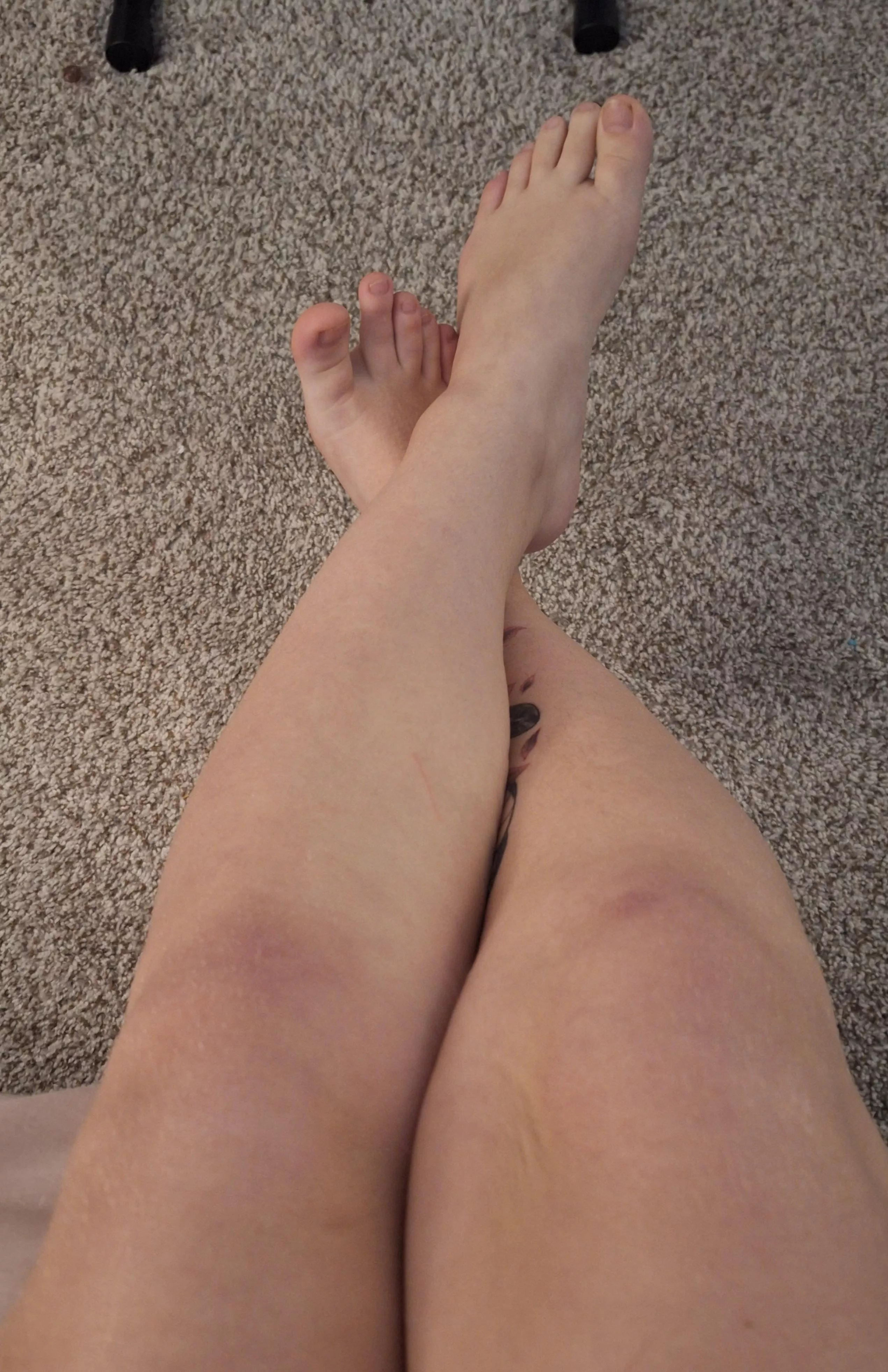 What color should I paint them?? posted by CeriseColette