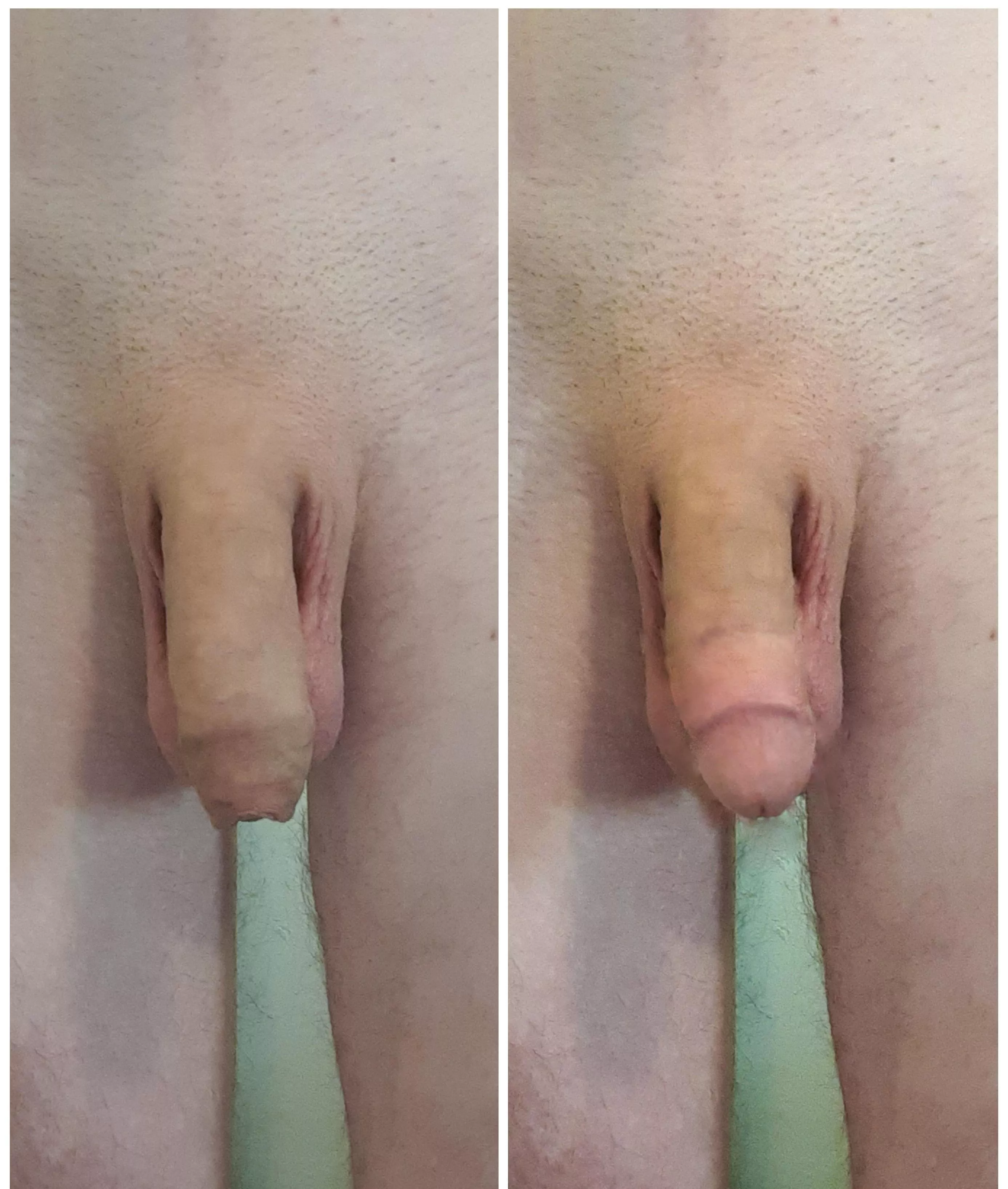 Which one do you prefer? posted by Sunyboy90