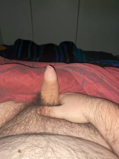 Woke up hard already 😏 by Far_Conference3215