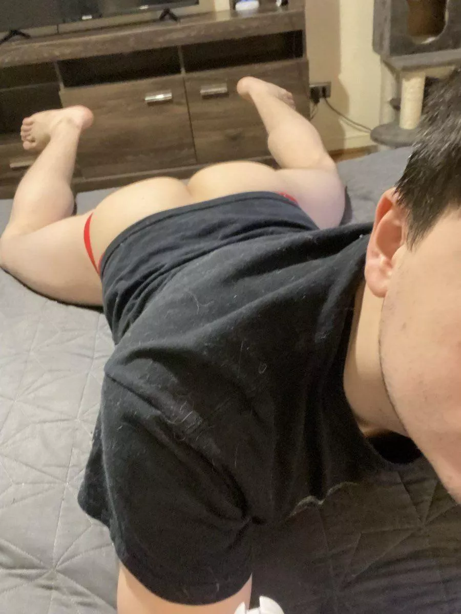 Would you like to ride me? posted by GeekCockSucker