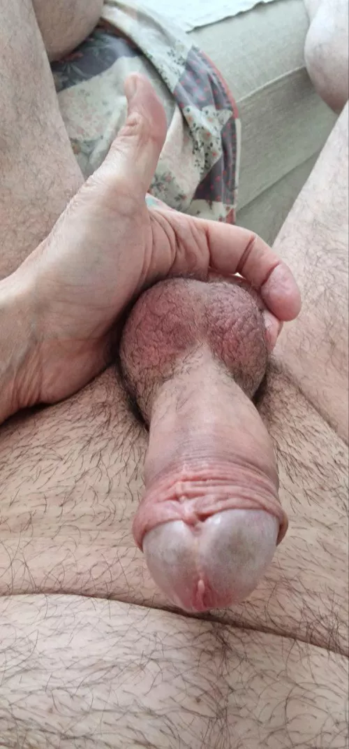 Alex (57) by Wrong_Breadfruit_170